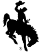 Bucking Horse and Rider Logo